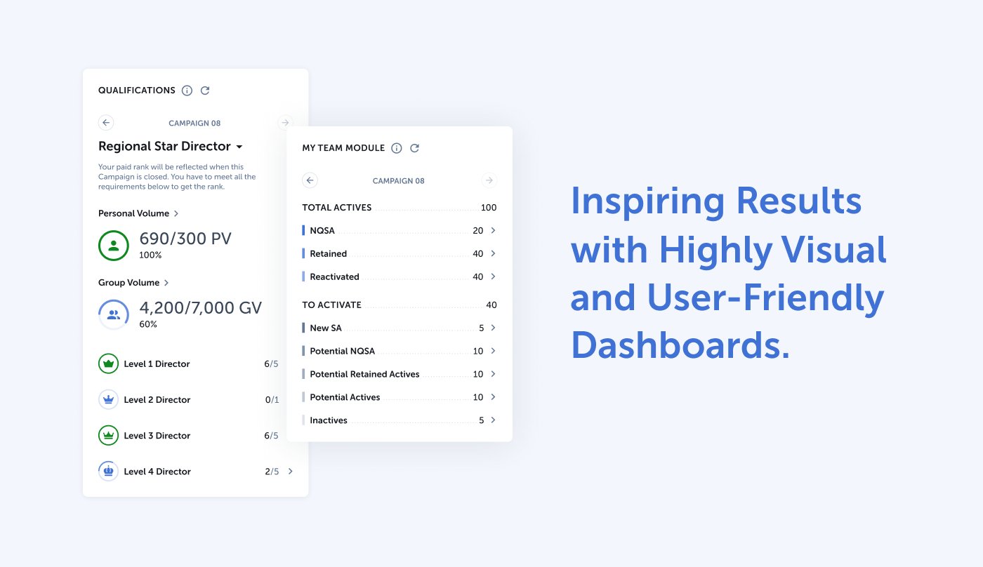visual dashboards displaying information as part of an incentives and recognition solution