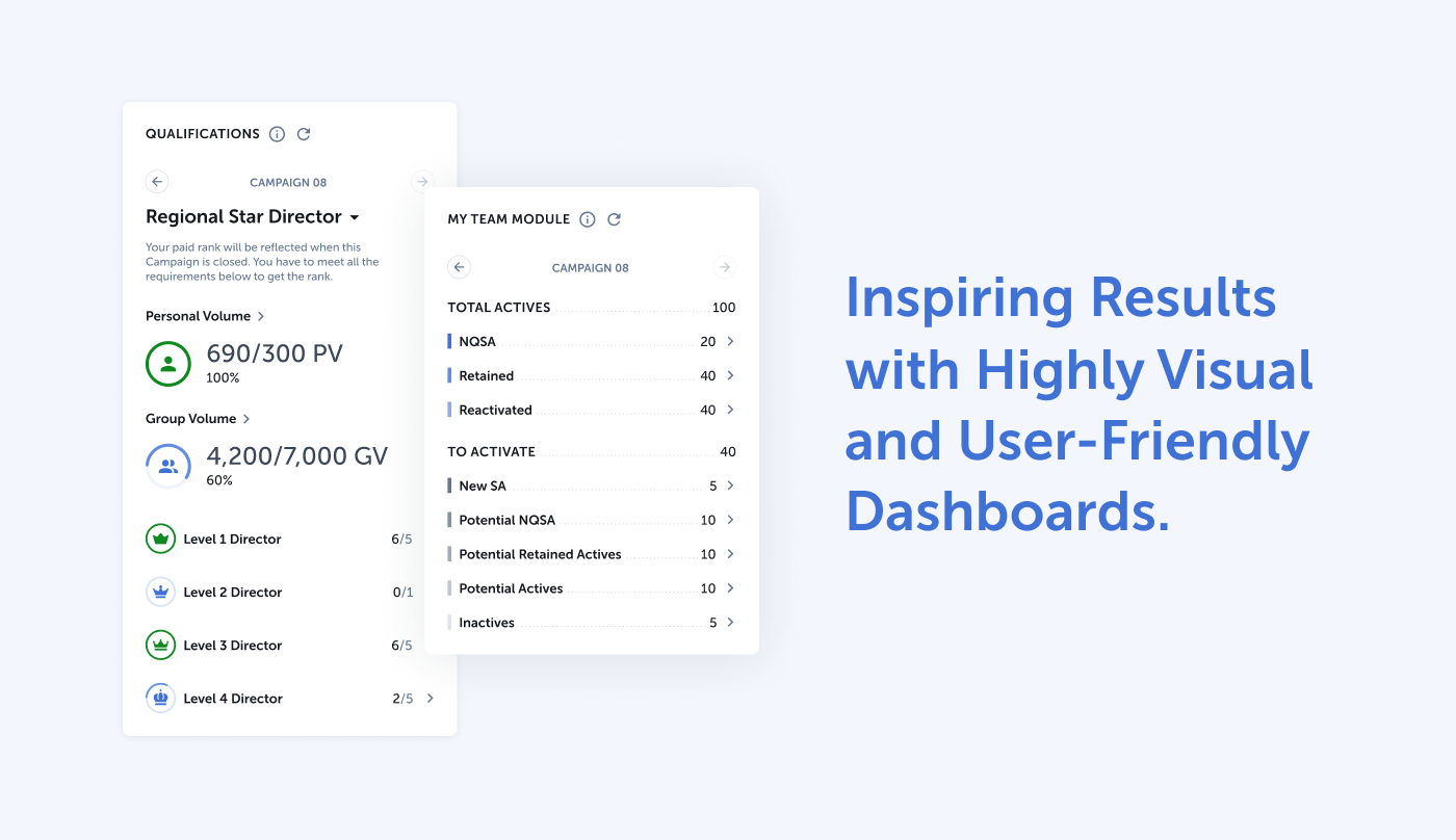 visual dashboards displaying information as part of an incentives and recognition solution 