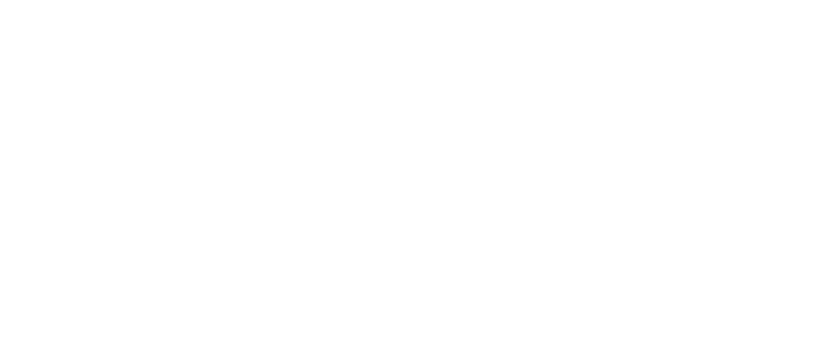 CEO, pawTree