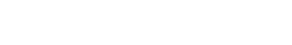 Program Manager, Global Learning and Development